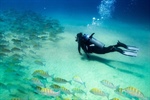 Adventure in Cozumel: Top 5 Outdoor Activities for Thrill-Seekers