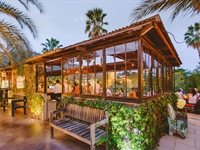 Best Rated Restaurants In Cabo San Lucas